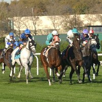 Turf racing at Aqueduct.