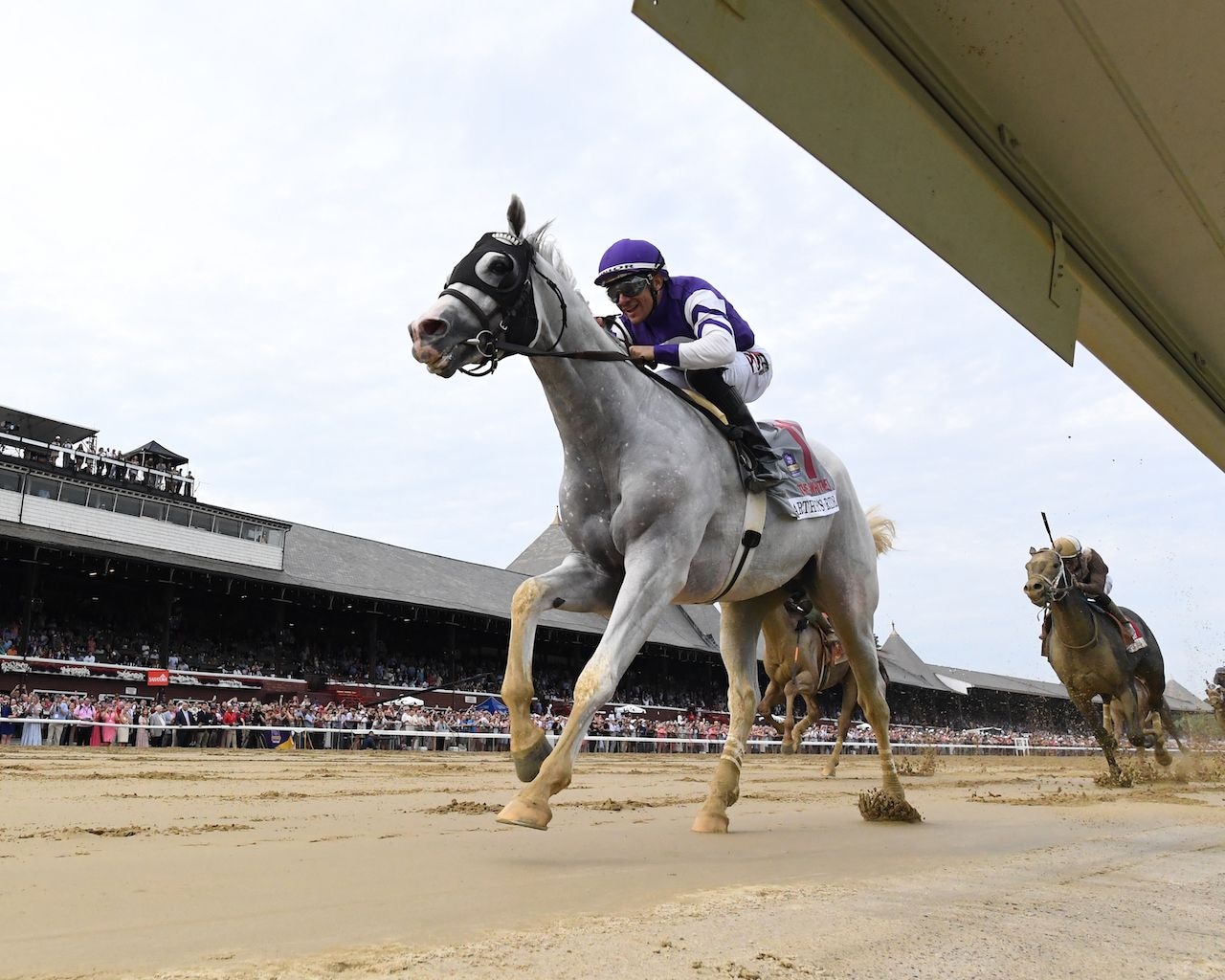 Meet the Contenders: 2024 Breeders Cup Classic | TwinSpires