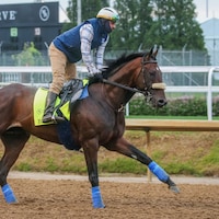 Baeza trains for the Kentucky Derby