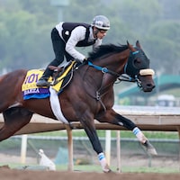 Baeza training for the Breeders' Cup