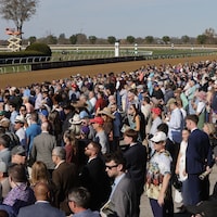 Breeders' Cup 2026