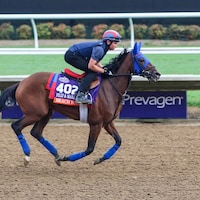 Beach Bomb works our prior to the Breeders' Cup.