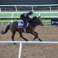 Believing works out prior to the Breeders' Cup.