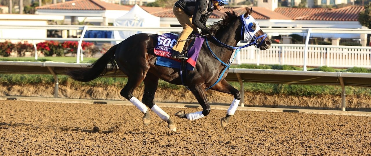 Bentornato gets a workout ahead of Breeders Cup