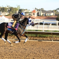 Bentornato gets a workout ahead of Breeders Cup