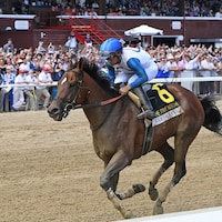 Book'em Danno after winning the True North (G3) at Saratoga.