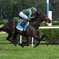 Bottas won the National Museum of Racing Hall of Fame (G2) on the same day that trainer Miguel Clement's late father was enshrined