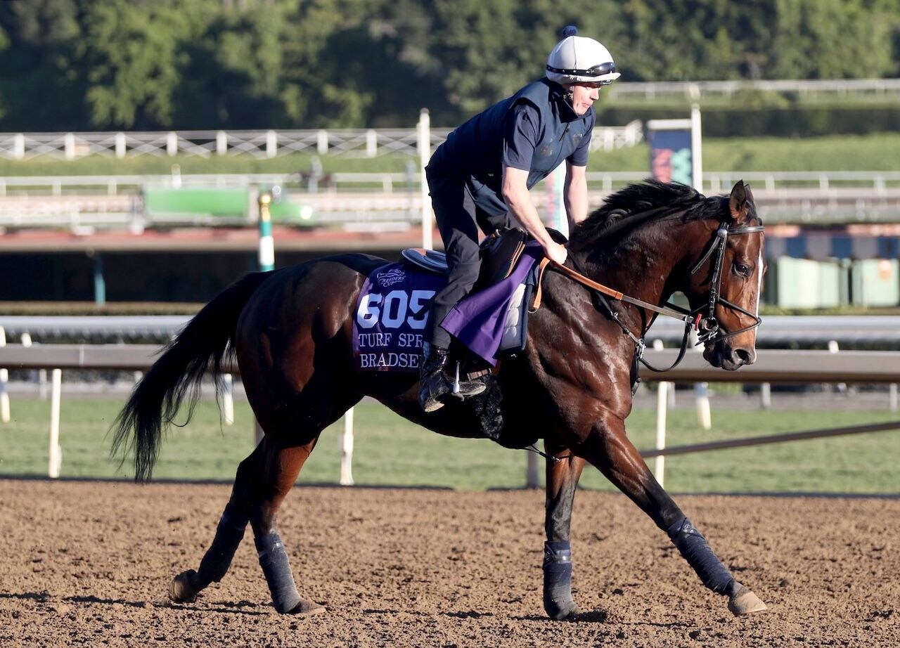 Bradsell works out before the Breeders' Cup.