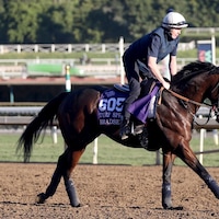 Bradsell works out before the Breeders' Cup.