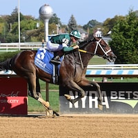 Bravaro wins at Belmont at the Big A.