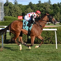 Bring Theband Home wins the Harvey Pack at Saratoga.