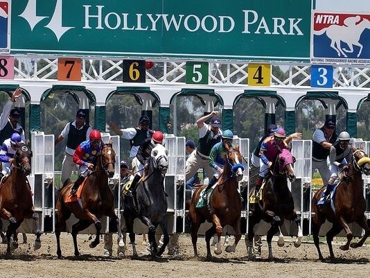 hollywood-park thoroughbred