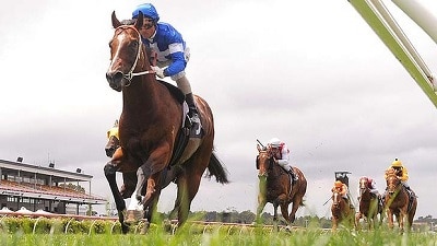 bluediamond