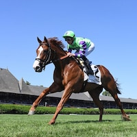 Carl Spackler romps in the Saranac