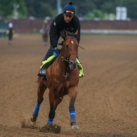 Citizen Bull trains for the Kentucky Derby (Photo by Horsephotos)