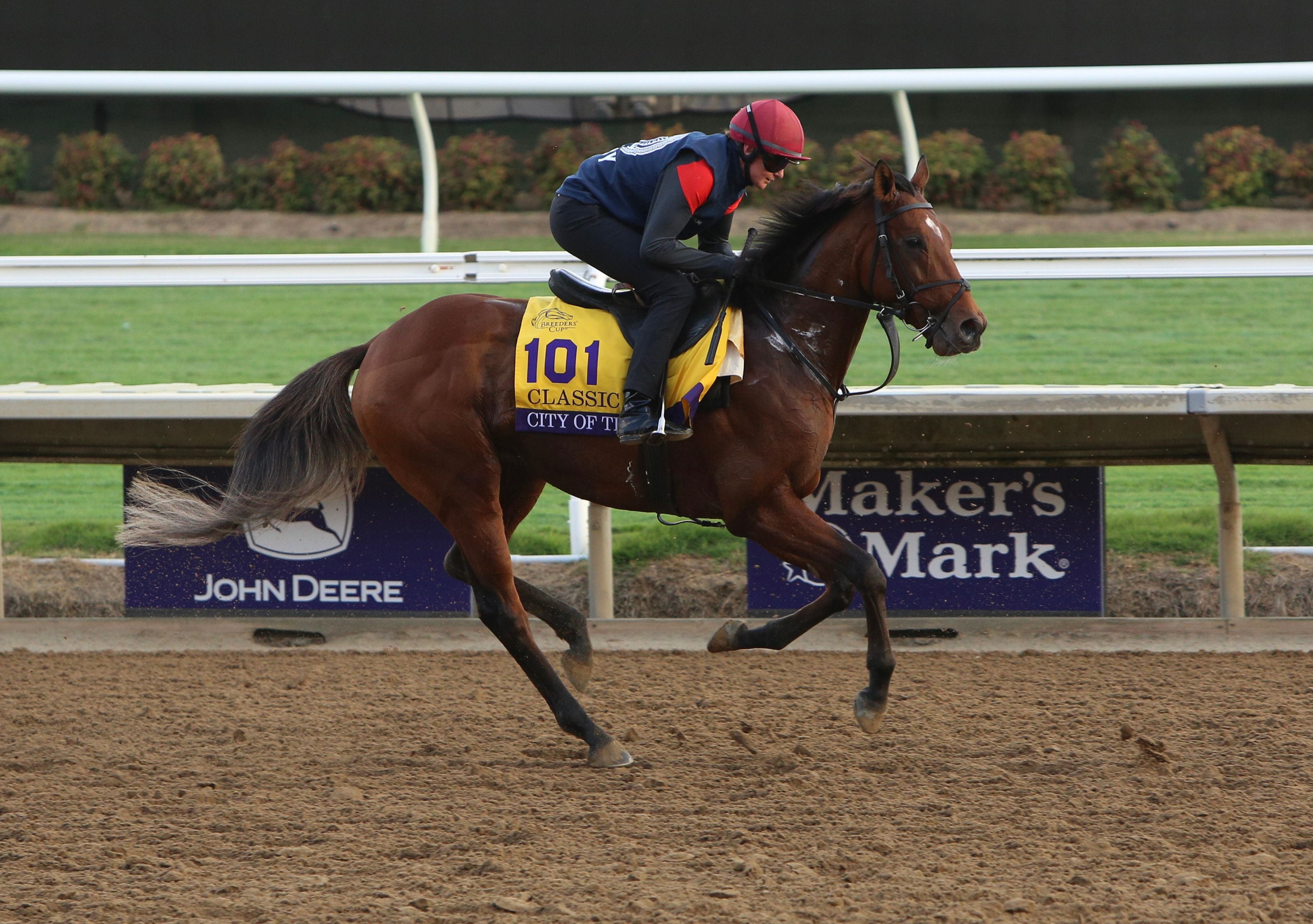City of Troy gets a feel for the Del Mar dirt ahead of the Breeders' Cup Classic