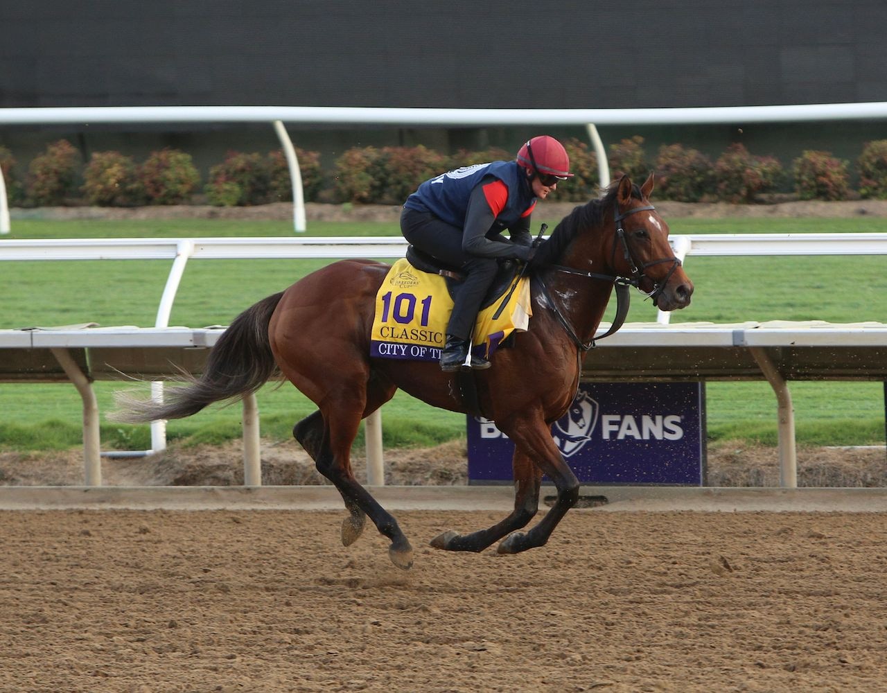City of Troy getting a workout in before Breeders' Cup Weekend