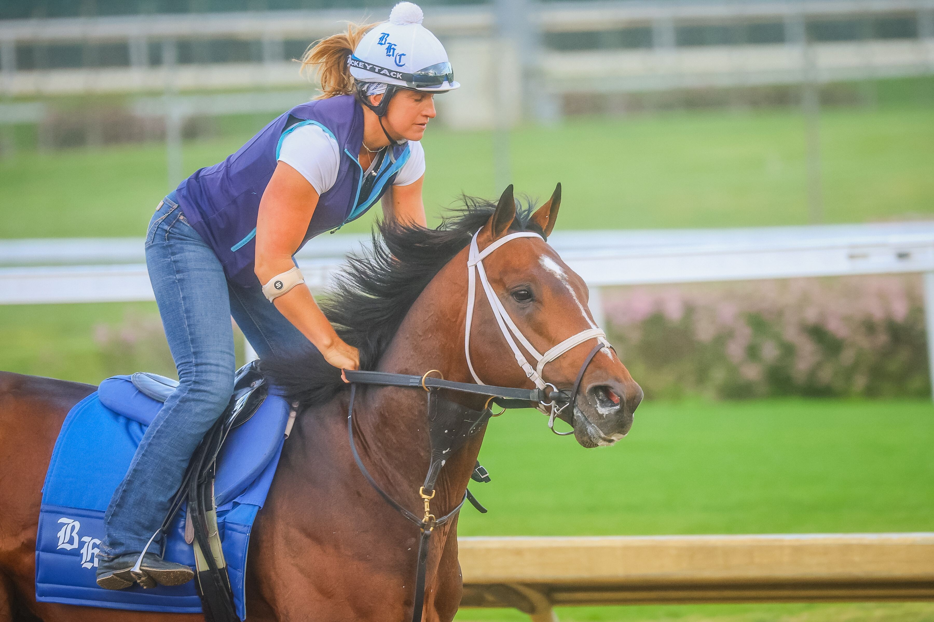 Commandment (Photo by Horsephotos.com)