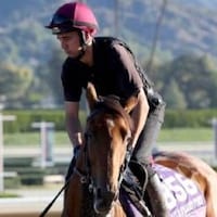 Content working out prior to Breeder's Cup.