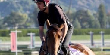 Content working out prior to Breeder's Cup.