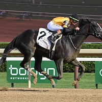 Counting Stars wins the Acorn Stakes at Saratoga. 