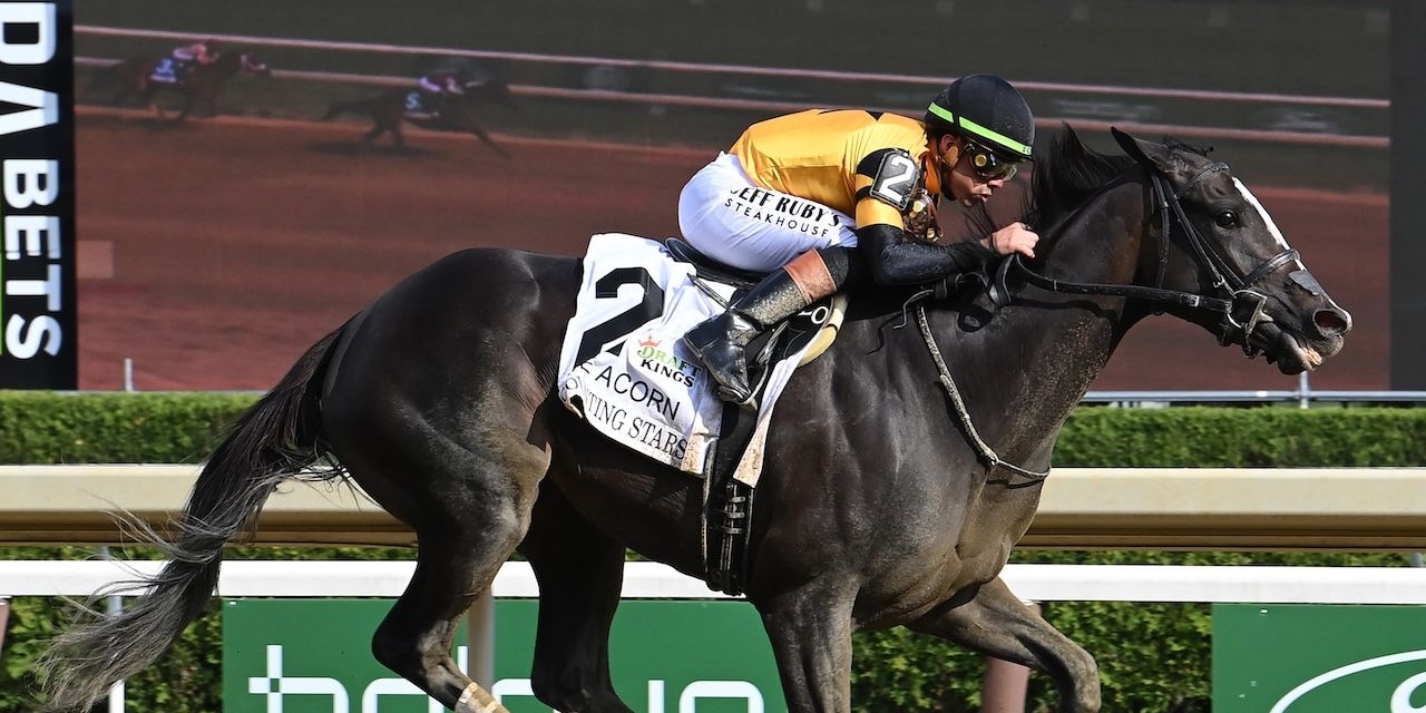 Counting Stars wins the Acorn Stakes at Saratoga.