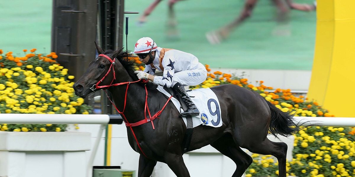 Courier Wonder