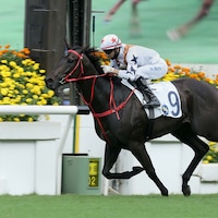 Courier Wonder