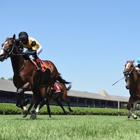 Decorated Invader winning the National Museum of Racing Hall of Fame (G2) at Saratoga. (Photo by NYRA/Coglianese Photography)