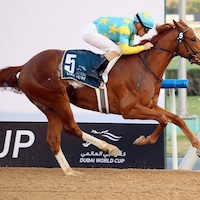 Derma Sotogake winning the UAE Derby (G2) at Meydan in Dubai (