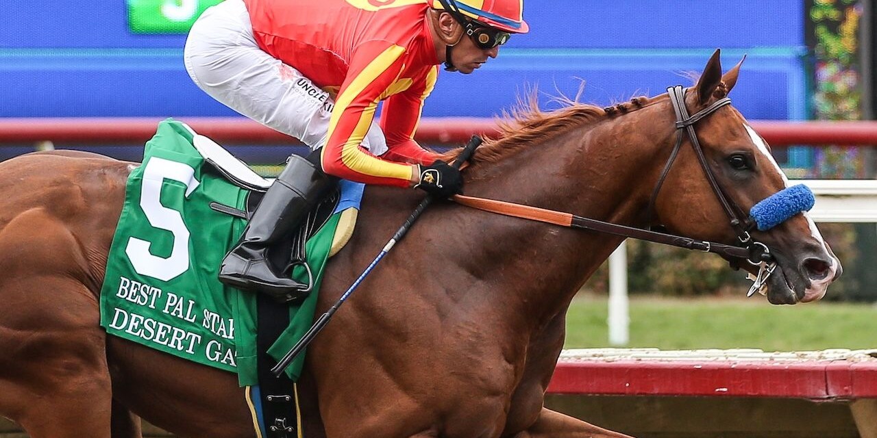 Desert Gate wins the Best Pal Stakes. 