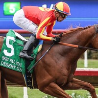Desert Gate wins the Best Pal Stakes. 