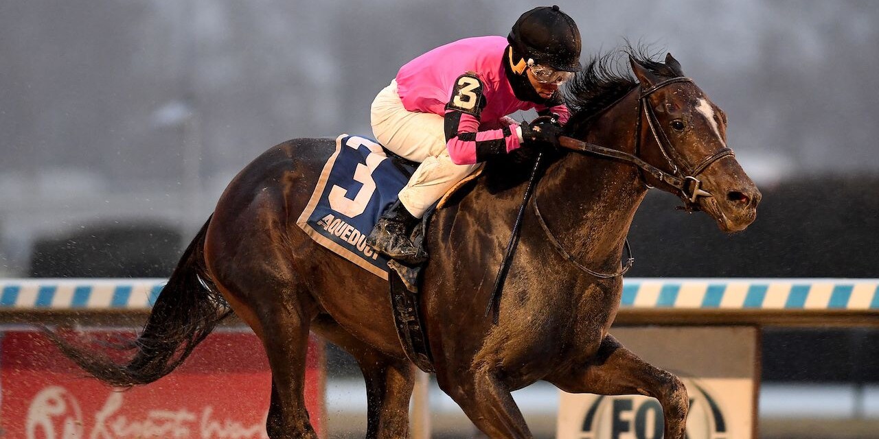 Deterministic winning the Gotham (G3) at Aqueduct (Photo by Coglianese Photos/Chelsea Durand)