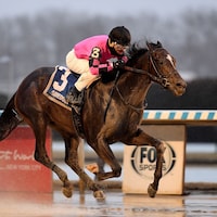 Deterministic winning the Gotham (G3) at Aqueduct (Photo by Coglianese Photos/Chelsea Durand)