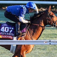 Diamond Rain training for the 2025 Breeders' Cup Filly & Mare Turf (G1)