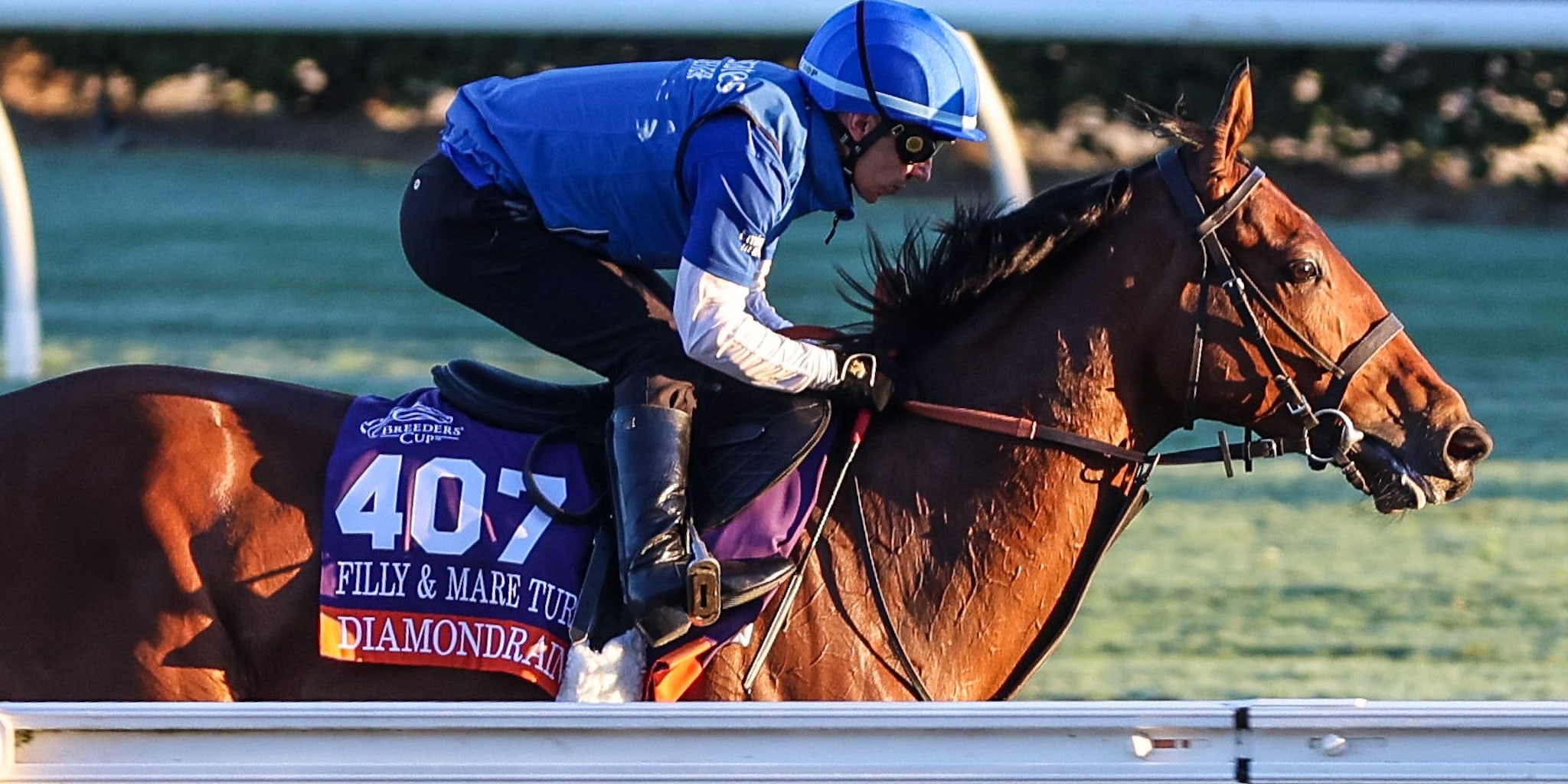 Diamond Rain training for the 2025 Breeders' Cup Filly & Mare Turf (G1)