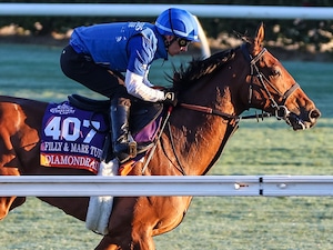 Diamond Rain training for the 2025 Breeders' Cup Filly & Mare Turf (G1)