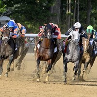 Dornoch wins the Belmont S. (G1) during Belmont at Saratoga.