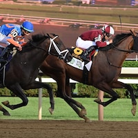Dornoch wins the Belmont S. (G1) during Belmont at Saratoga