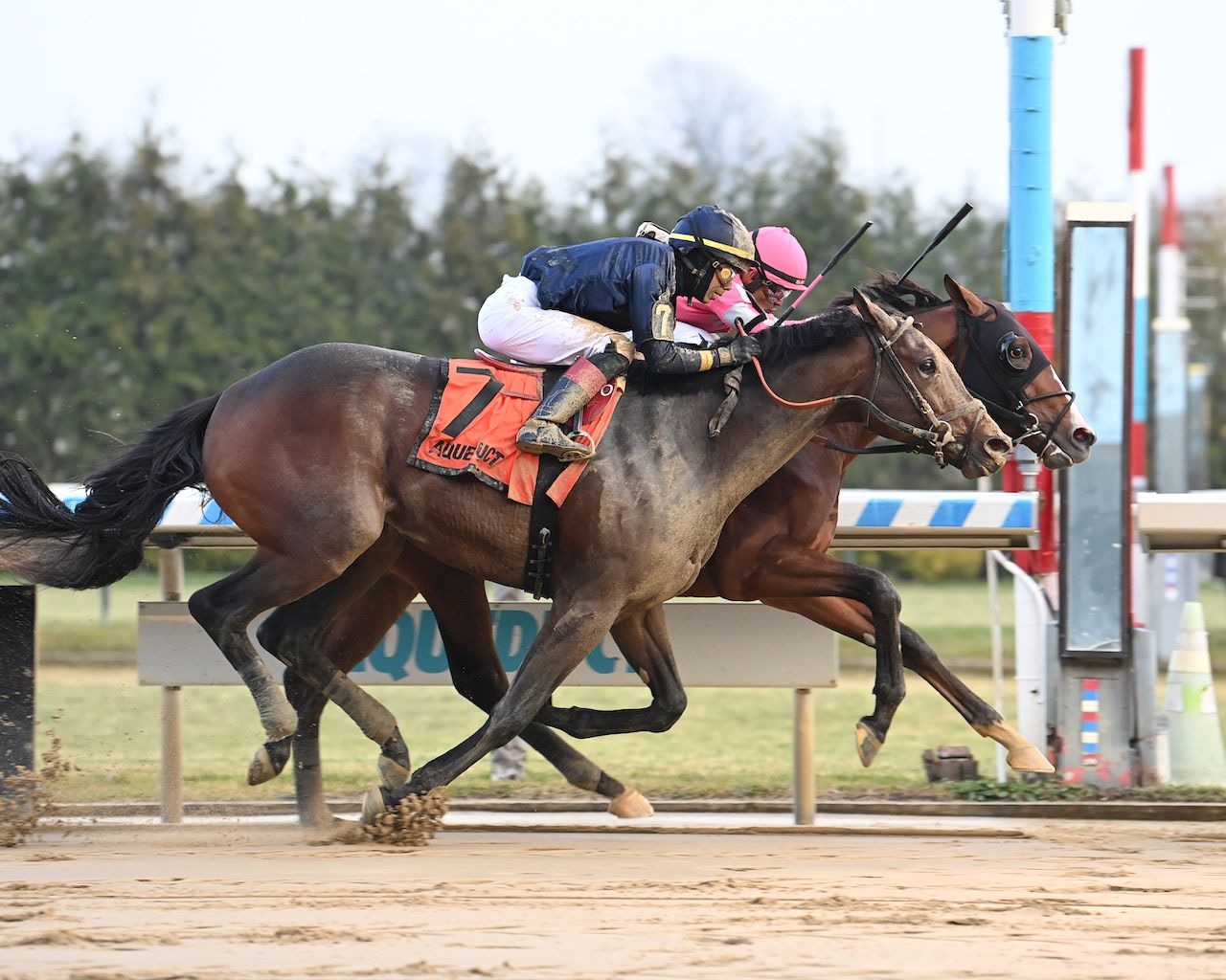 Dornoch winning the Remsen (G2) at Aqueduct (Photo by Coglianese Photos/Susie Raisher)