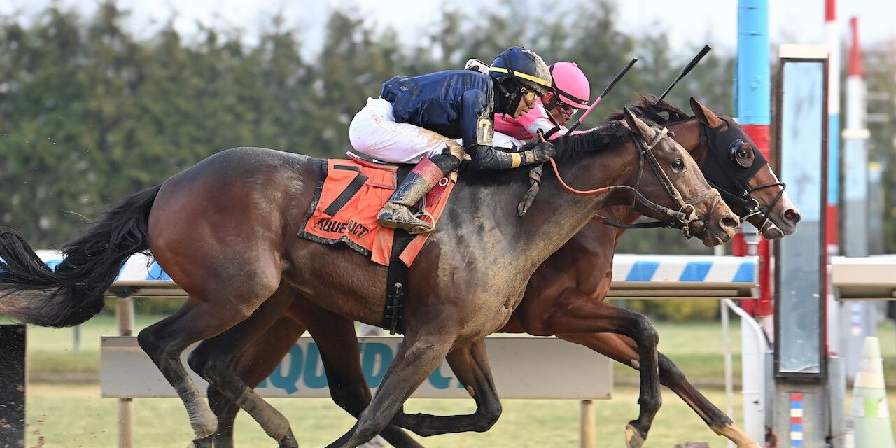 Dornoch winning the Remsen (G2) at Aqueduct (Photo by Coglianese Photos/Susie Raisher)