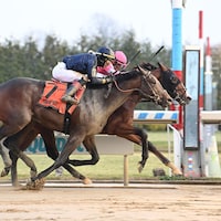 Dornoch winning the Remsen (G2) at Aqueduct (Photo by Coglianese Photos/Susie Raisher)