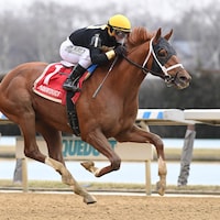 Drum Roll Please winning the Jerome S. at Aqueduct (Photo by Coglianese Photos)