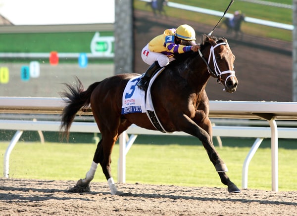 Bluegrass Stakes