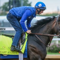 East Avenue trains for the Kentucky Derby (Photo by Horsephotos.com)