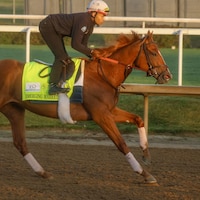 Emerging Market (Photo by Horsephotos.com)