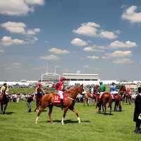 Scenic view of Epsom Downs (Photo by Frank Sorge/Horsephotos.com)