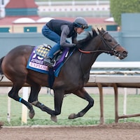 Explora training for the Breeders' Cup