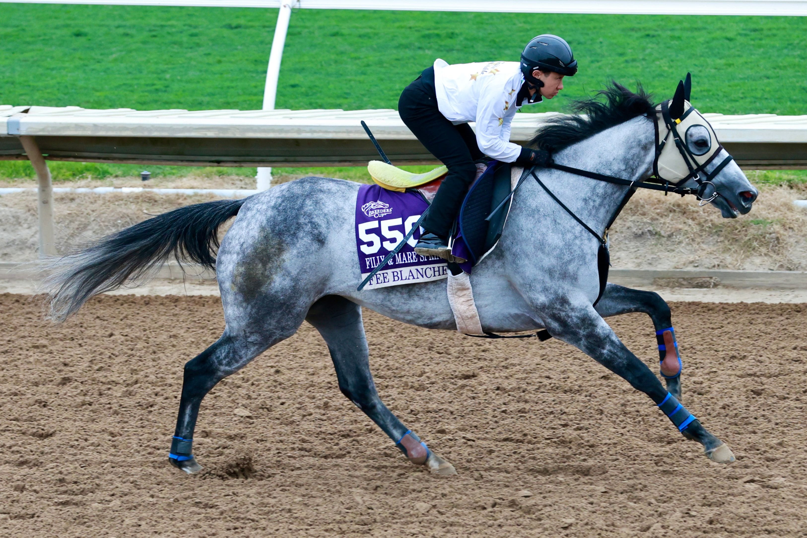 Fee Blance trains for the Breeders' Cup at Del Mar (Photo by Horsephotos.com)