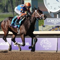 Fierceness winning the Breeders' Cup Juvenile (G1) at Santa Anita (Photo by Horsephotos.com)